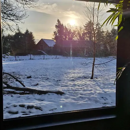 Апартаменты Maunie's *