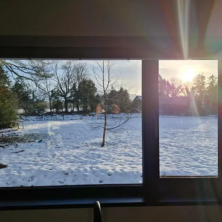 Maunie's * Killarney